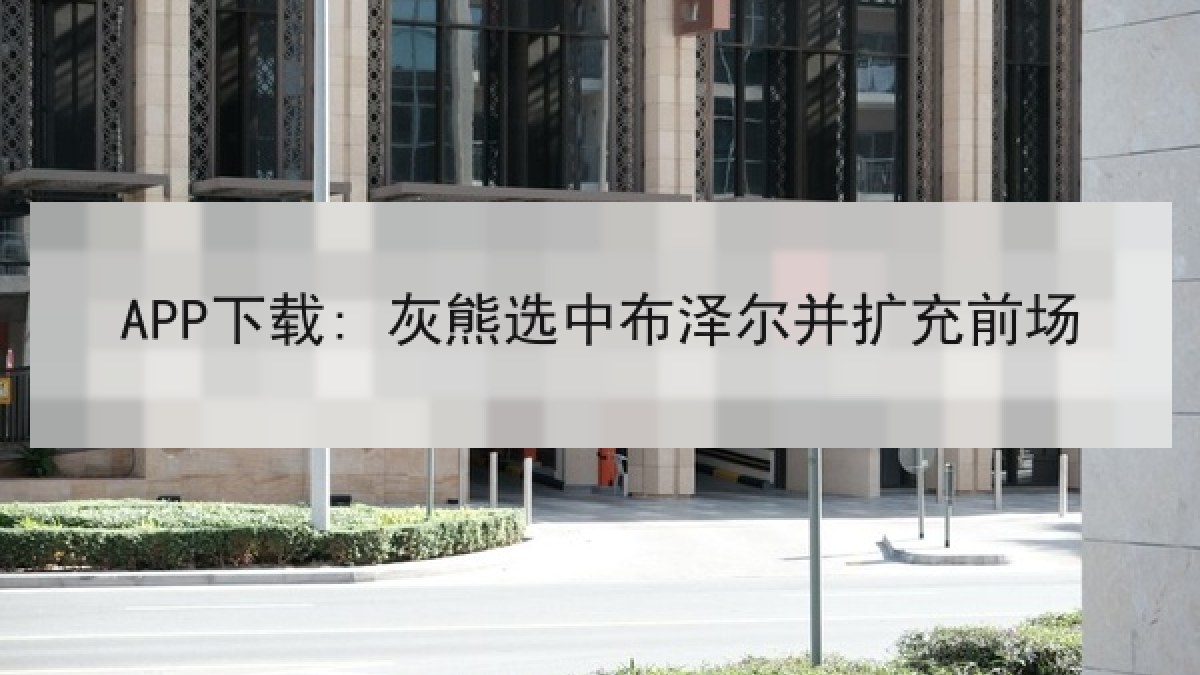 APP下载: 灰熊选中布泽尔并扩充前场 APP下载: 灰熊选中布泽尔并扩充前场